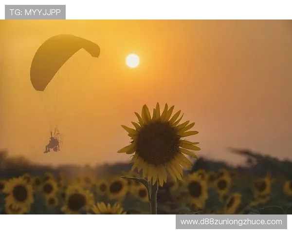 搏斗人生,坚信梦想的力量让我们勇往直前